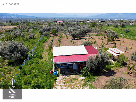 Kemalpaşa Halilbeylide Satılık 3000 m2 Bahçe 40 m2 Ev - İZMİR KEMALPAŞA fotoğraf 2