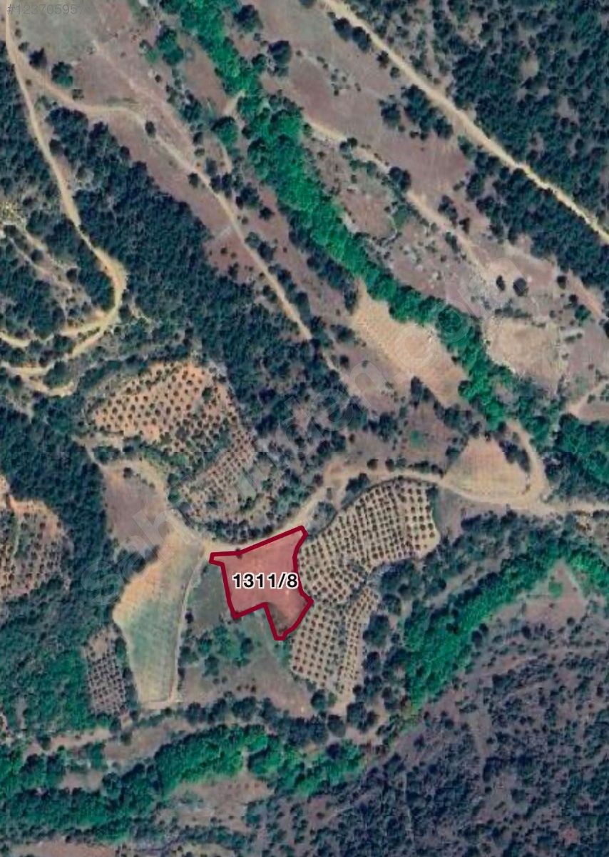 Yayla Bölgesinde Satılık Arsa 2.626 M²  Hatay / Hassa / Gazeluşağı Mh. - HATAY HASSA fotoğraf 2