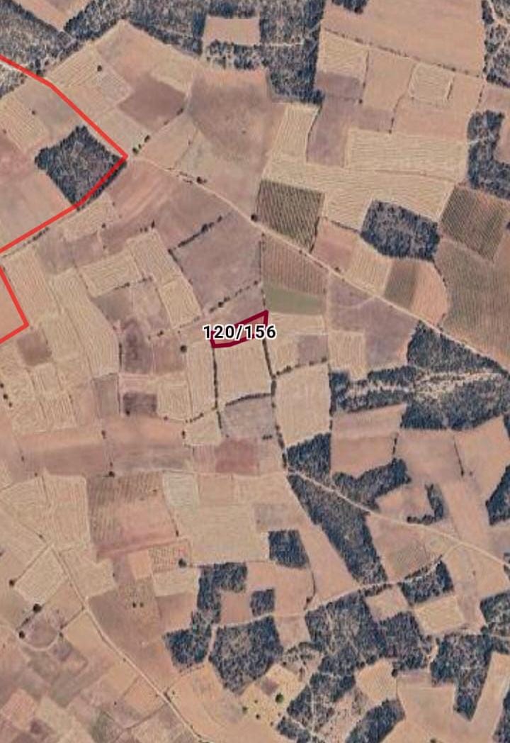 UŞAK KARAHALLI KAVAKLI MAH.1.561M² TARLA SATILIKTIR - UŞAK KARAHALLI fotoğraf 3