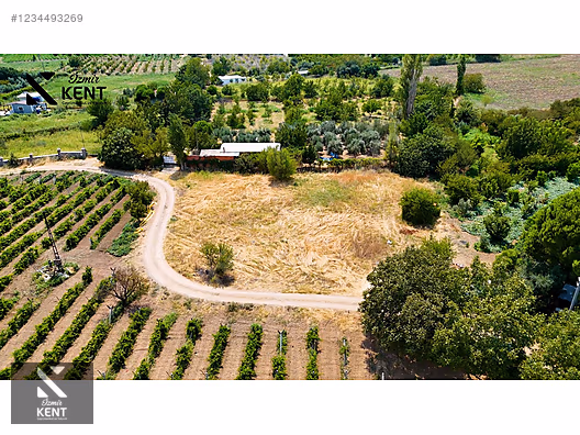 Kemalpaşa Yukarıkızılca Satılık 408 m2 Bahçe - İZMİR KEMALPAŞA fotoğraf 20