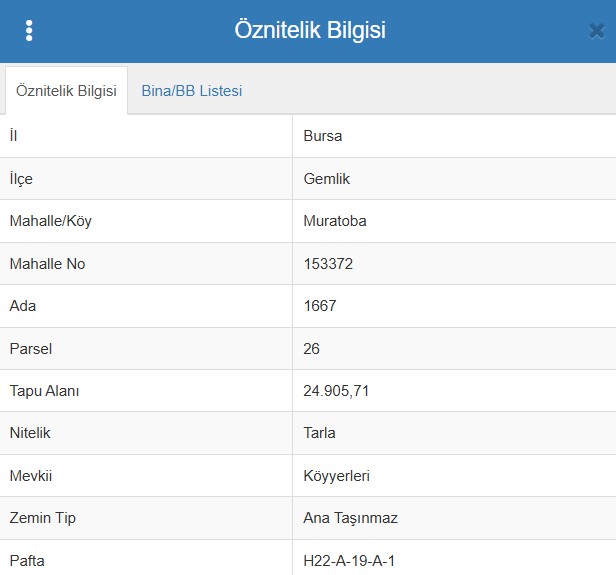 BURSA GEMLİK MURATOBA KÖYÜ’NDE 24.905 M²TARLA SATILIKTIR - BURSA GEMLİK fotoğraf 4