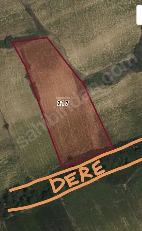 EDİRNE ENEZ KOCAALİ 'DE  5.550  M² TARLAMIZ SATILIKTIR - EDİRNE ENEZ fotoğraf 5