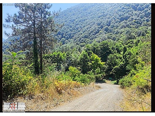 AYHAN HEPDİKER DEN GEYVE NURİOSMANİYEDE 18000 M2 HARİKA KONUMDA - SAKARYA GEYVE fotoğraf 21