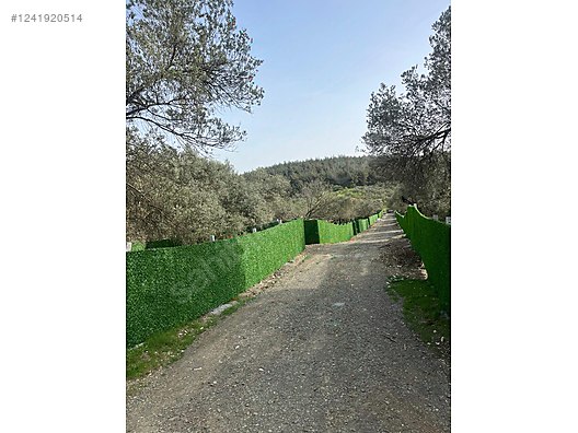 İZMİR-ALİAĞA-BOZKÖY’DE TARLA’NIN 300 M² ‘Sİ SATILIKTIR - İZMİR ALİAĞA fotoğraf 14