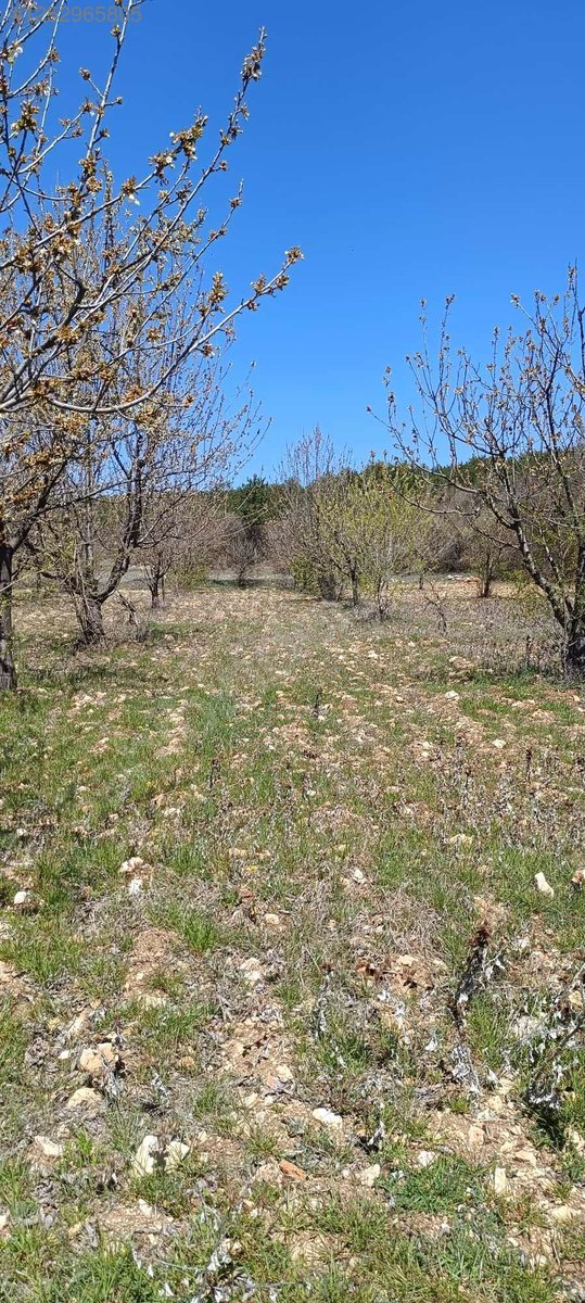 BURSA KELES MENTEŞE KÖYÜNDE  6.297  M² BAĞ SATILIKTIR - BURSA KELES fotoğraf 16