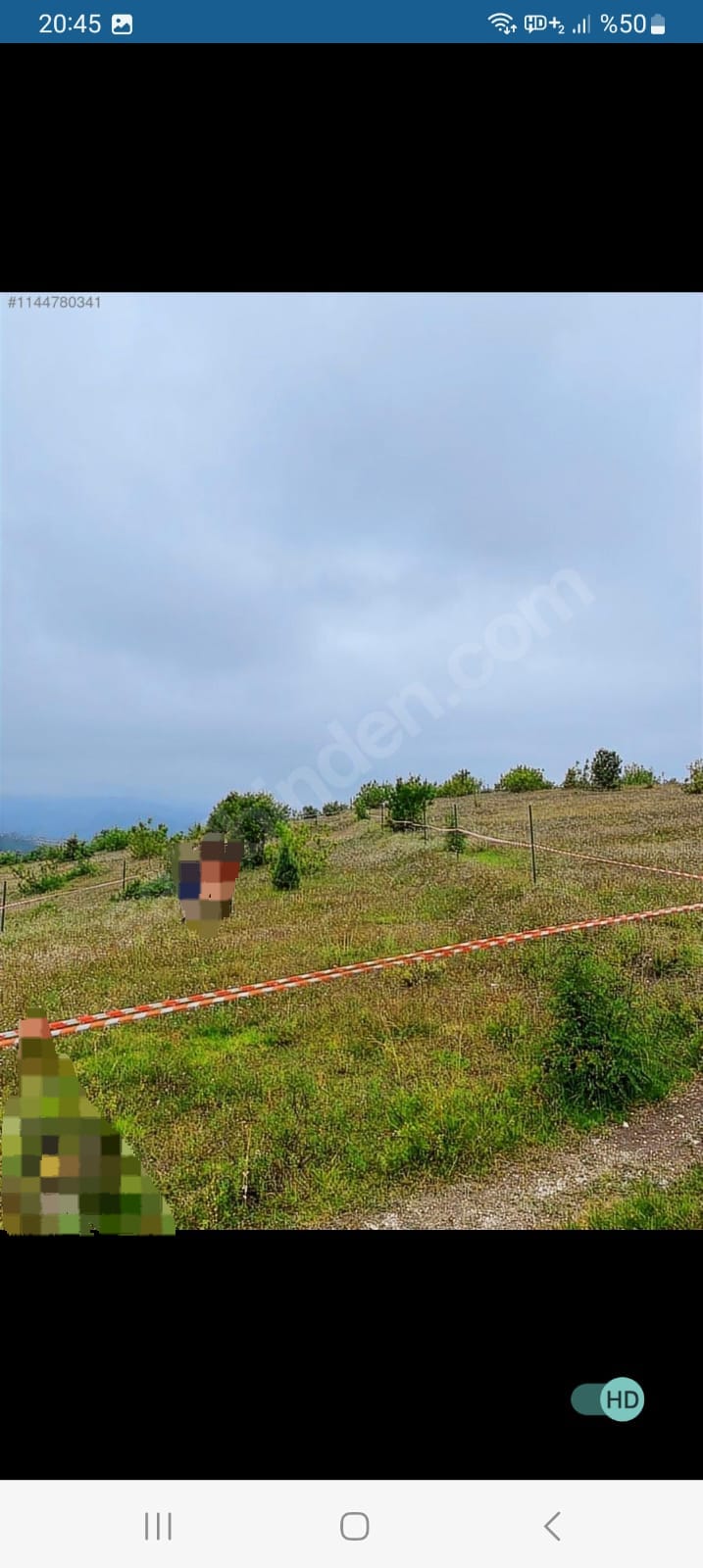 ZONGULDAK EREĞLİ ŞAMLAR KÖYÜNDE 1.265 M² TARLAMIZ SATILIKTIR. - ZONGULDAK EREĞLİ fotoğraf 3