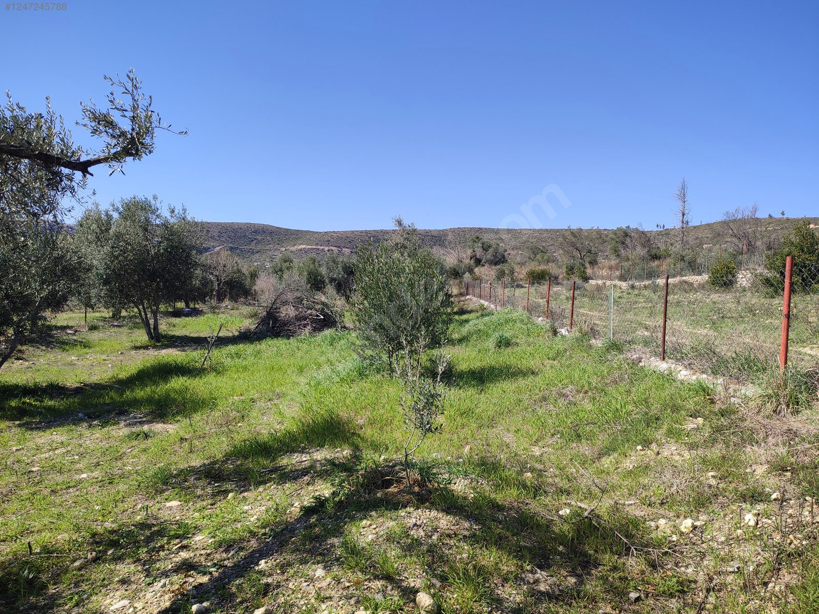 Antalya / Manavgat / Yaylaalan Mahallesinde 840 m² SATILIK TARSA  - ANTALYA MANAVGAT fotoğraf 18