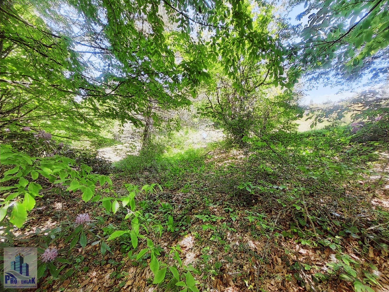 DÜZCE KAYNAŞLI YEŞİLTEPE K. TAMAMI İMARLI 17.923 M2 FIRSAT ARSA - DÜZCE KAYNAŞLI fotoğraf 4