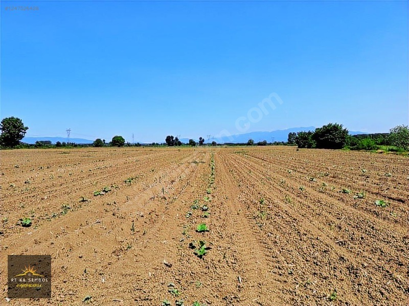 ERENLER KAMIŞLI MAHALLESİNDE SATILIK 3.370 M2 TARLA - SAKARYA ERENLER fotoğraf 3