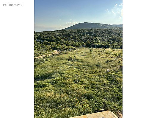 BURSA İZNİK BAYINDIR KÖYÜNDE 5.009 M TARLA SATILIKTIR - BURSA İZNİK fotoğraf 20