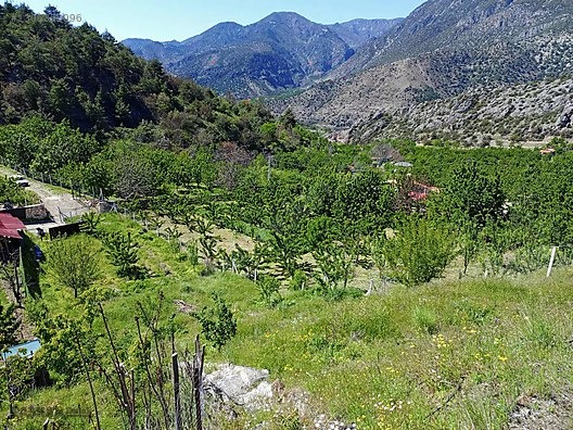 TAŞHAN EMLAKDAN YENİCE DE SATILIK TEK TAPU HOBİ BAHÇE - AMASYA MERKEZ fotoğraf 6