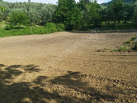 BURSA İZNİK MÜŞKÜLE  KÖYÜNDE 1.209 M² ZEYTİNLİK SATILIKTIR - BURSA İZNİK fotoğraf 12