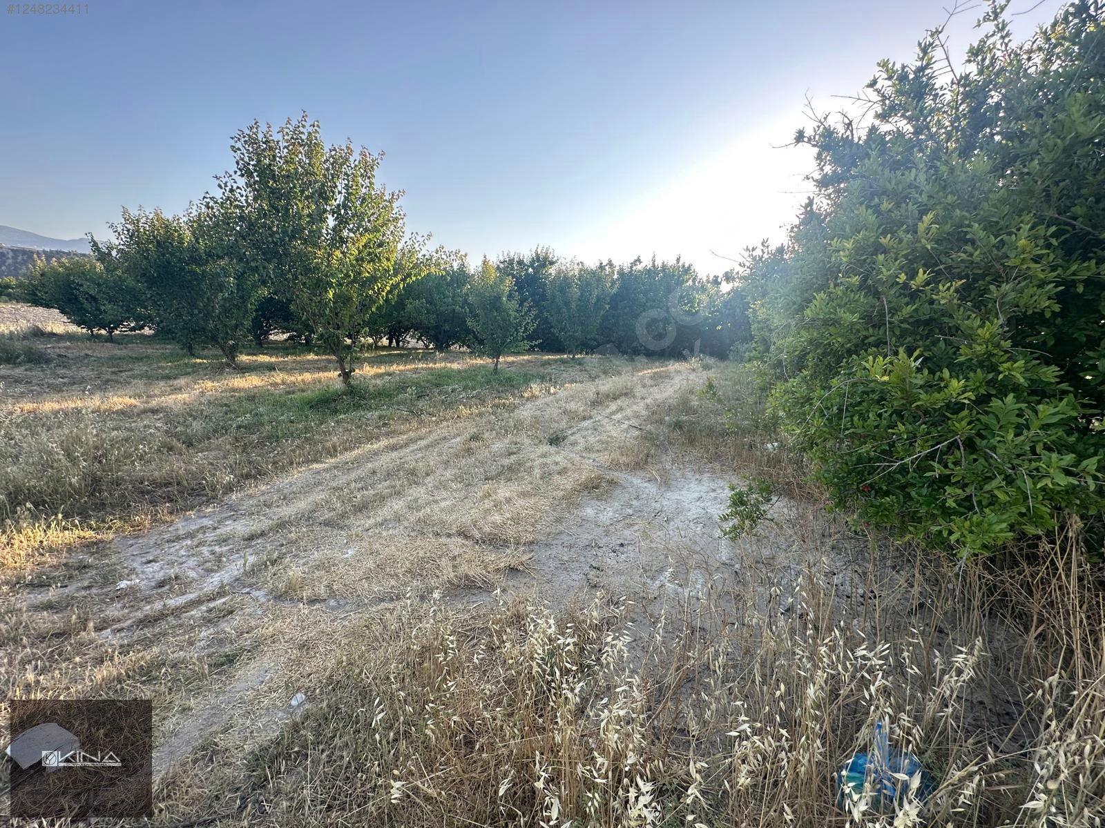 MUT - SİLİFKE KARAYOLUNA 250 M MESAFEDE SATILIK BAHÇE - MERSİN MUT fotoğraf 30