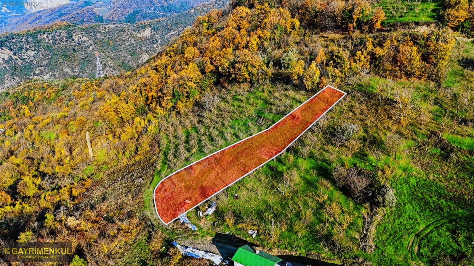 GEYVE DEREKÖYDE 1299 M2 SAKARYA NEHRİ MANZARALI TARLA - SAKARYA GEYVE fotoğraf 32