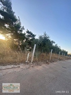 Kupon satışta - İZMİR TORBALI fotoğraf 3