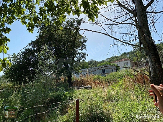 BERGAMA KOZAK ÇAMAVLU MAH DE 555 m2 Arsa