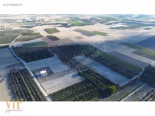 VİP GAYRİMENKUL'den BAYRALAR MAH. 29.648 m² ELMA-ARMUT BAHÇESİ - ANTALYA ELMALI fotoğraf 14
