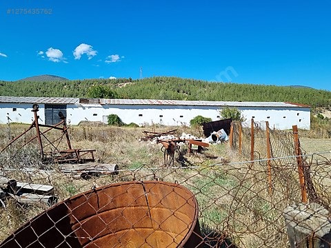 Cadde Emlaktan asfaltın kenarında satılık arsa ve tavuk çiftliği - KARABÜK ESKİPAZAR fotoğraf 16