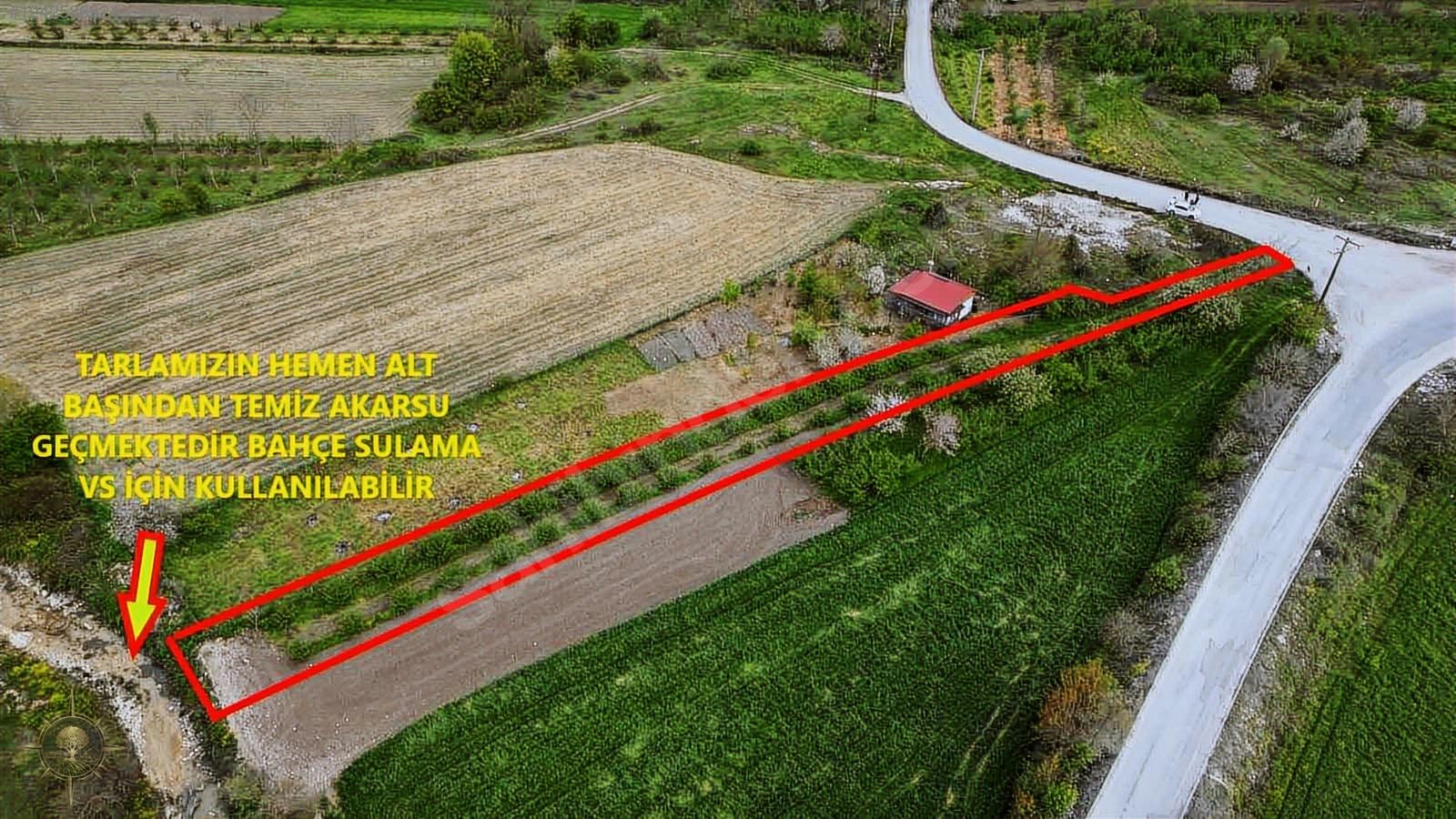 ASFALT YOLA CEPHE HOBİ BAHÇELİK KAÇIRILMAYACAK HARİKA FINDIKLIK - KOCAELİ KANDIRA fotoğraf 4