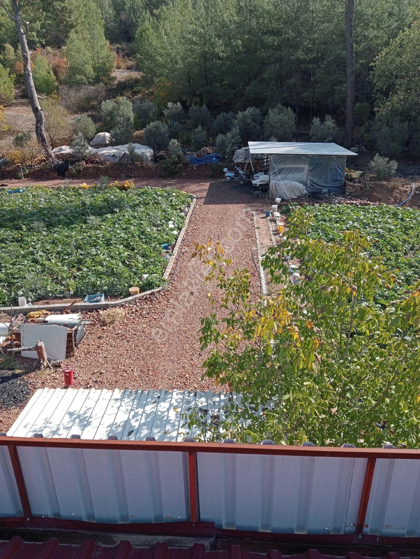 Antalya Kumlucada Satılık Müstakil Bahçe İnceoğlu Emlak - ANTALYA KUMLUCA fotoğraf 20