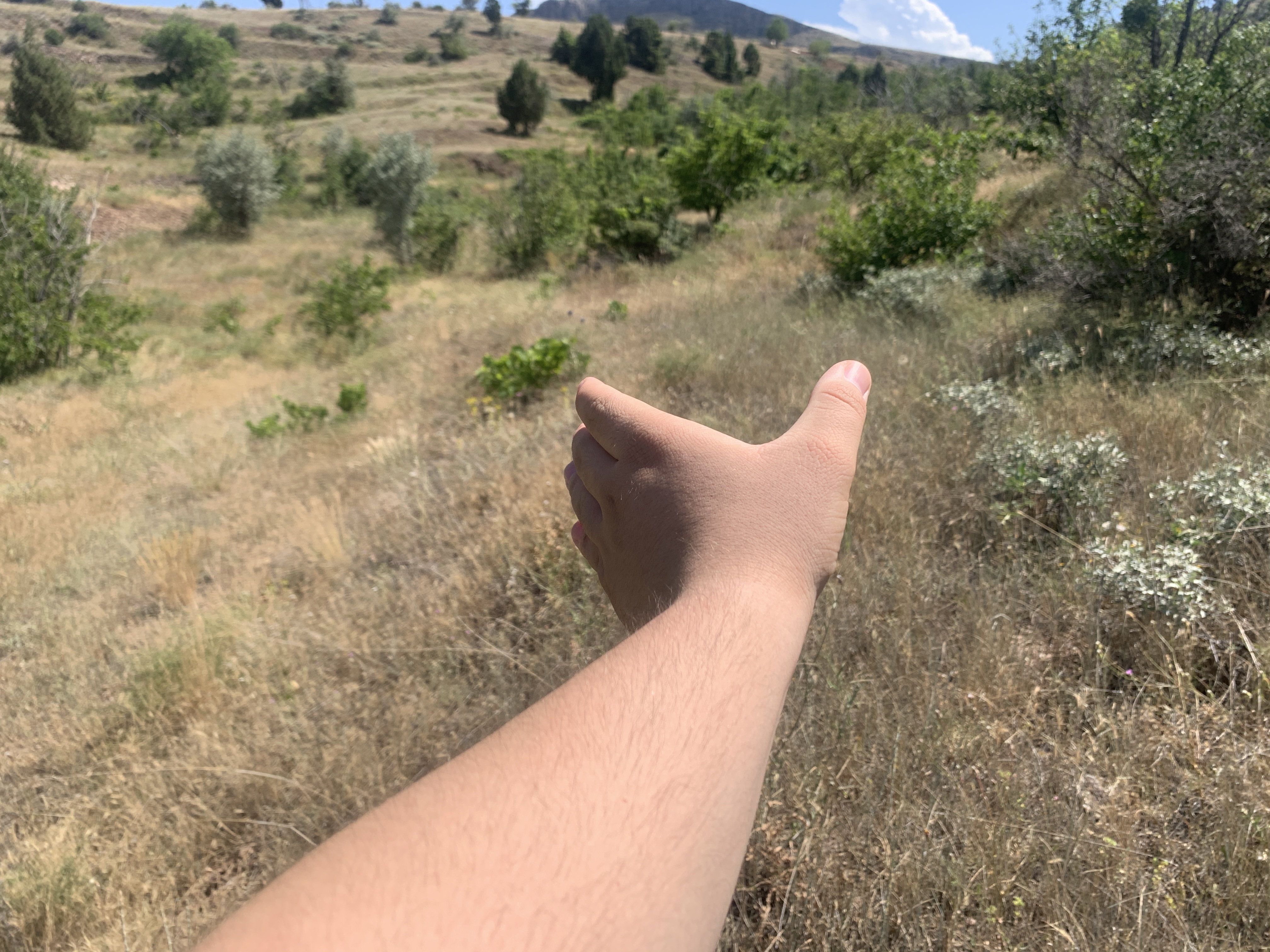 KONYA BOZKIR HACILAR KÖYÜNDE 236 M2 BAĞ SATILIKTIR. - KONYA BOZKIR fotoğraf 12
