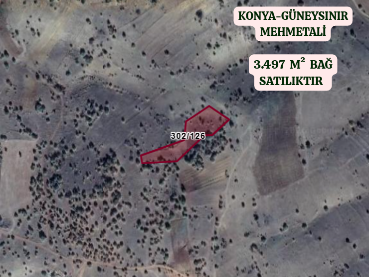 KONYA GÜNEYSINIR MEHMETALİ  KÖYÜNDE  3.497   M²  BAĞ  SATILIKTIR - KONYA GÜNEYSINIR fotoğraf 2