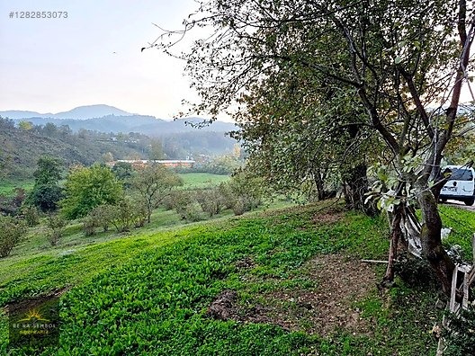 SAKARYA-KARAPÜRÇEK-MESUDİYE MAHALLE MERKEZİNDE SATILIK TARLA - SAKARYA KARAPÜRÇEK fotoğraf 4
