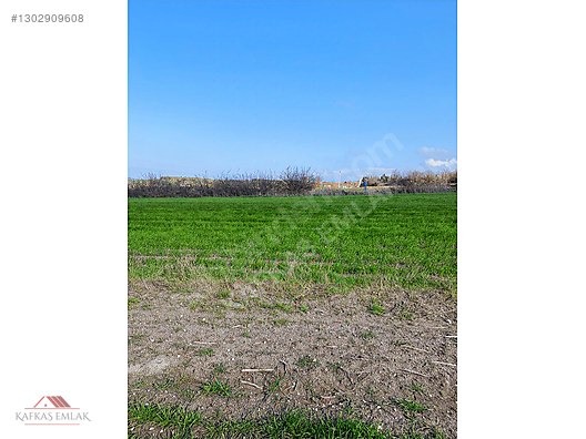 BOĞAZKÖYDE İMAR SINIRINDA 17.700M2 TARLA - BURSA MUSTAFAKEMALPAŞA fotoğraf 9