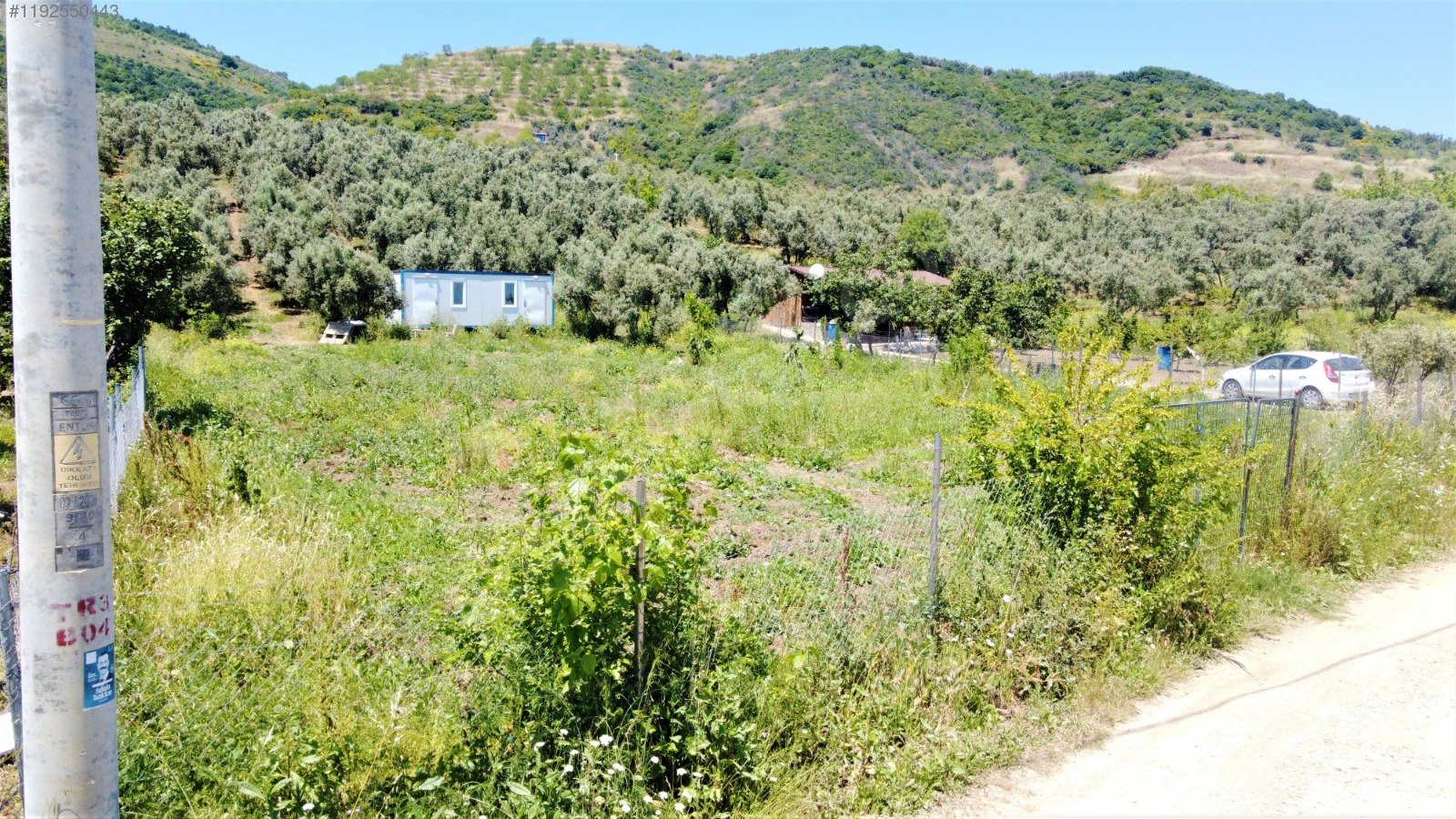 BURSA MUDANYA ÇEPNİ KÖYÜNDE 2.110 M² ZEYTİNLİK SATILIKTIR. - BURSA MUDANYA fotoğraf 18