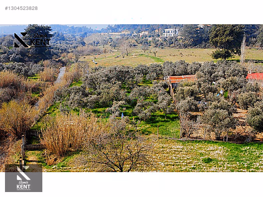 Kemalpaşa Örnekköy Satılık 1.635 m2 Bahçe - İZMİR KEMALPAŞA fotoğraf 16