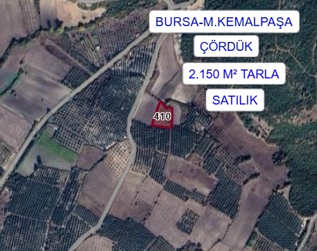 BURSA M.KEMALPAŞA ÇÖRDÜK MAHALLESİNDE 2.150 M² TARLA SATILIKTIR - BURSA MUSTAFAKEMALPAŞA fotoğraf 3