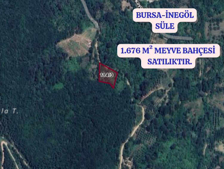 BURSA İNEGÖL SÜLE  KÖYÜNDE 1.676 M² MEYVE BAHÇESİ  SATILIKTIR - BURSA İNEGÖL fotoğraf 2