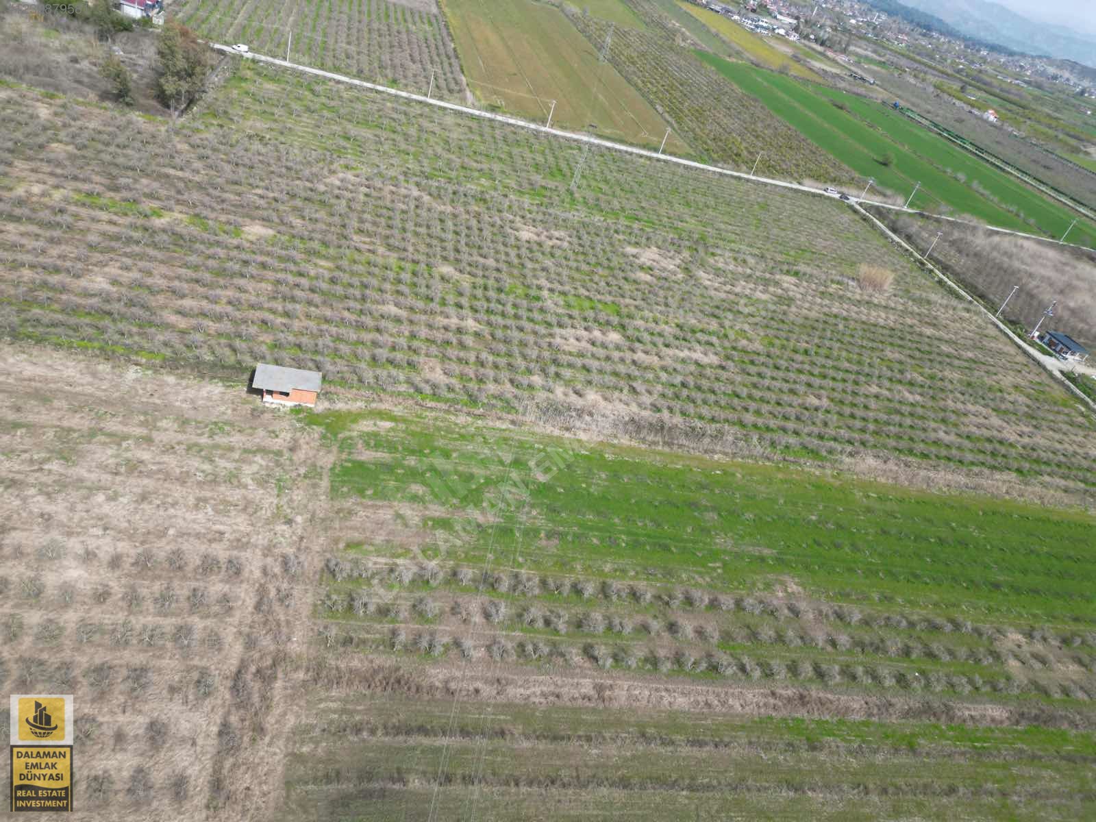DALAMAN EMLAK DÜNYASINDAN ORTACA GÜZELYURTTA SATILIK TARLA - MUĞLA ORTACA fotoğraf 12