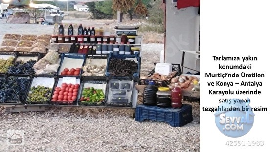 Murtiçine Yakın Konumda Acil Satılık Tarla - ANTALYA AKSEKİ fotoğraf 17