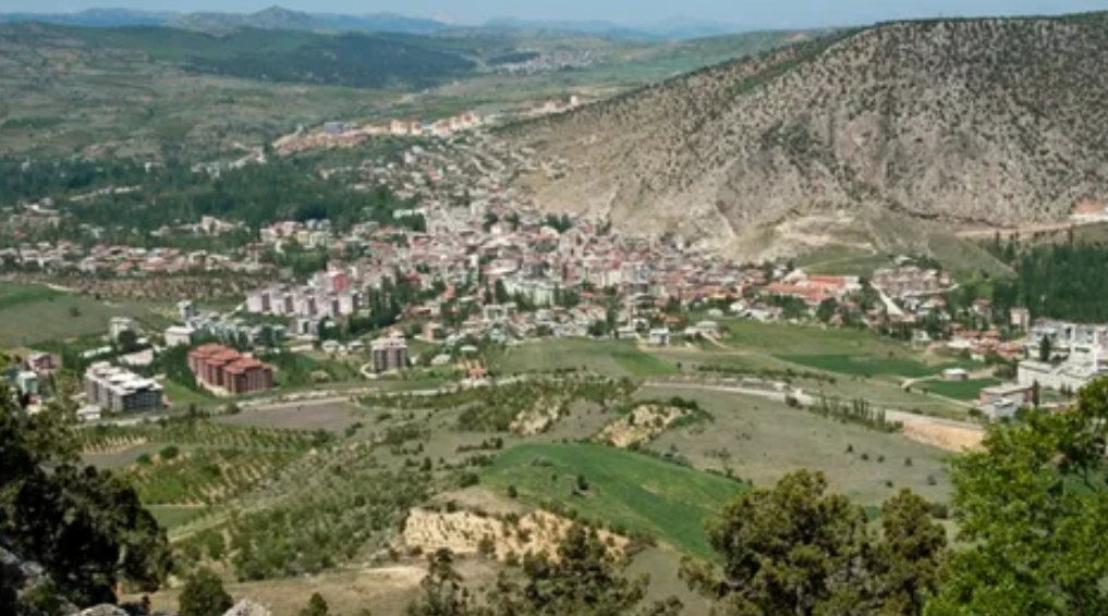 KONYA BOZKIR HAMZALAR KÖYÜNDE 1.347 M² BAĞIMIZ SATILIKTIR. - KONYA BOZKIR fotoğraf 11