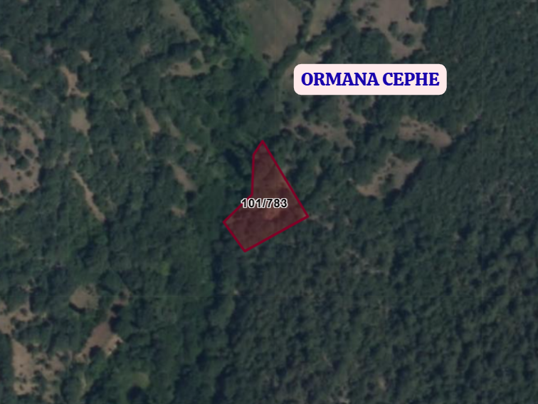 KÜTAHYA DOMANİÇ FINDICAK  KÖYÜNDE 1.326 M² TARLA SATILIKTIR - KÜTAHYA DOMANİÇ fotoğraf 3