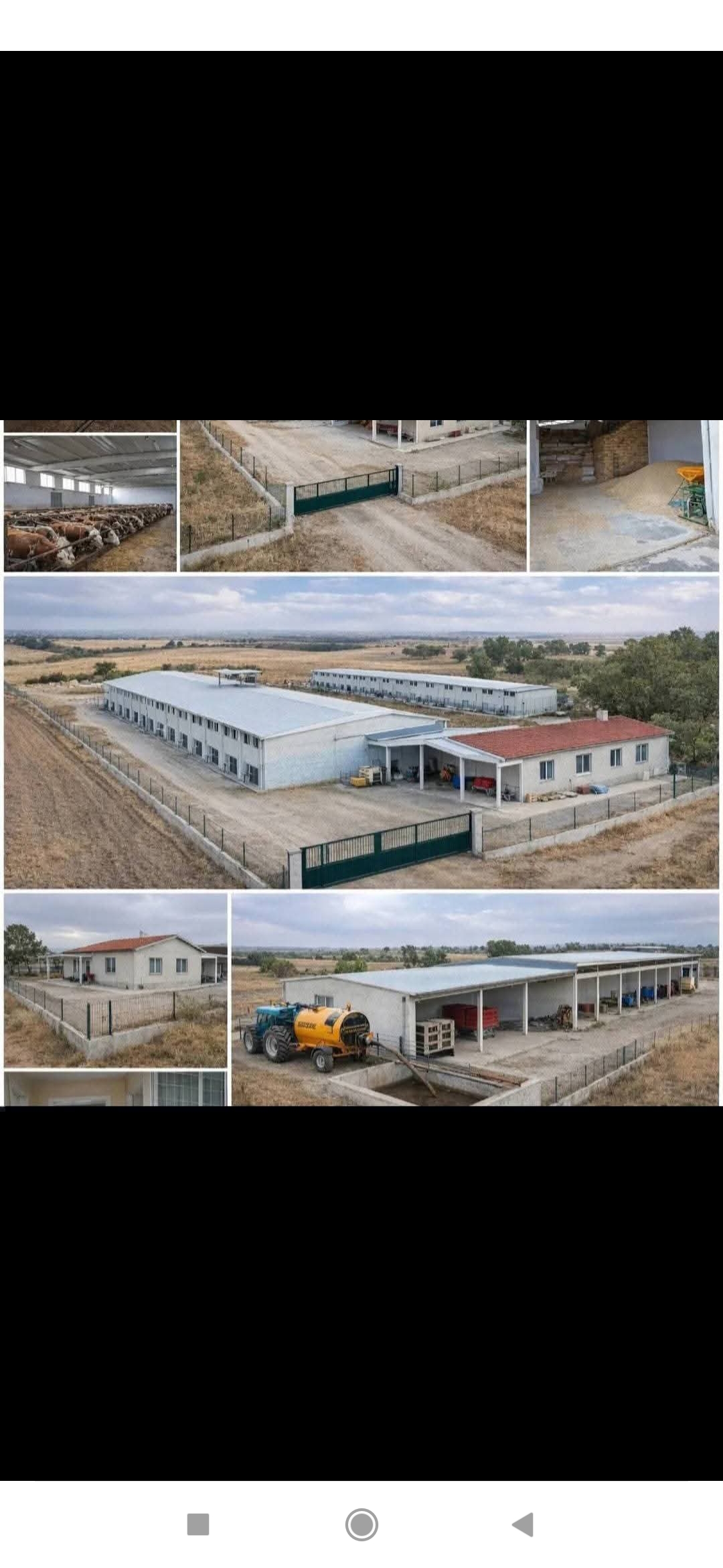 Satılık büyük baş hayvan çiftliği  - UŞAK SİVASLI fotoğraf 12