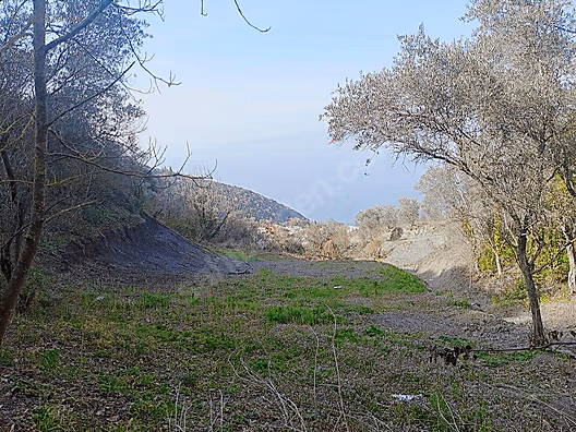 AKKOYUN DAN FULL DENİZ MANZARALI ARSA - KOCAELİ GÖLCÜK fotoğraf 4