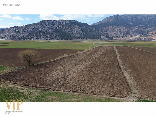 VİP GAYRİMENKUL'den BÖLGENİN EN SULAK YERİNDE 8.041m² TARLA - ANTALYA ELMALI fotoğraf 3