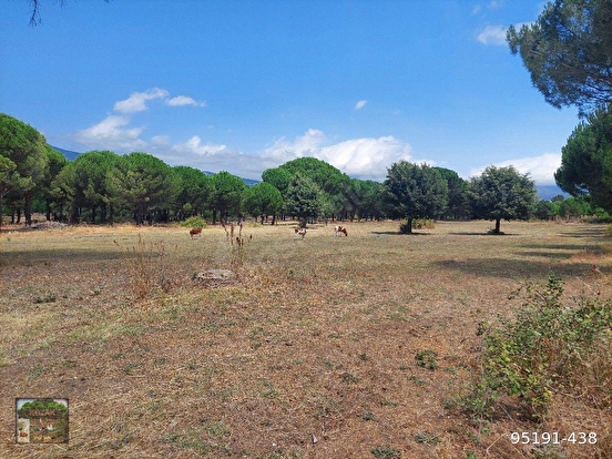 BERGAMA KARAVELİLER MAH DE 9975 M2 FISTIKLI TARLA PARSEL YOLLU MANZARALI - İZMİR BERGAMA fotoğraf 6