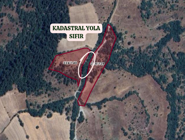 BALIKESİR SINDIRGI OSMANLAR  KÖYÜNDE  9.566   M²  TARLA  SATILIKTIR - BALIKESİR SINDIRGI fotoğraf 6