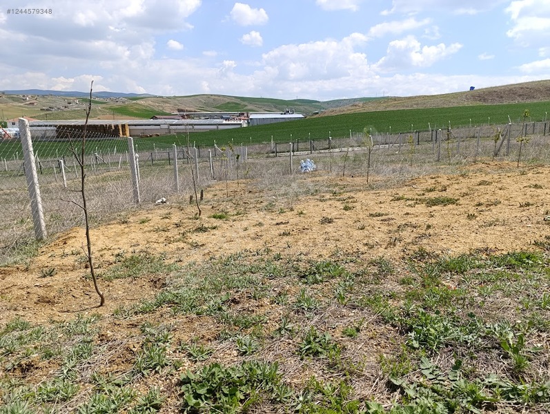 ANKARA AKYURT YILDIRIM KÖYÜNDE TARLAMIZIN 400 M² Sİ  SATILIKTIR - ANKARA AKYURT fotoğraf 5