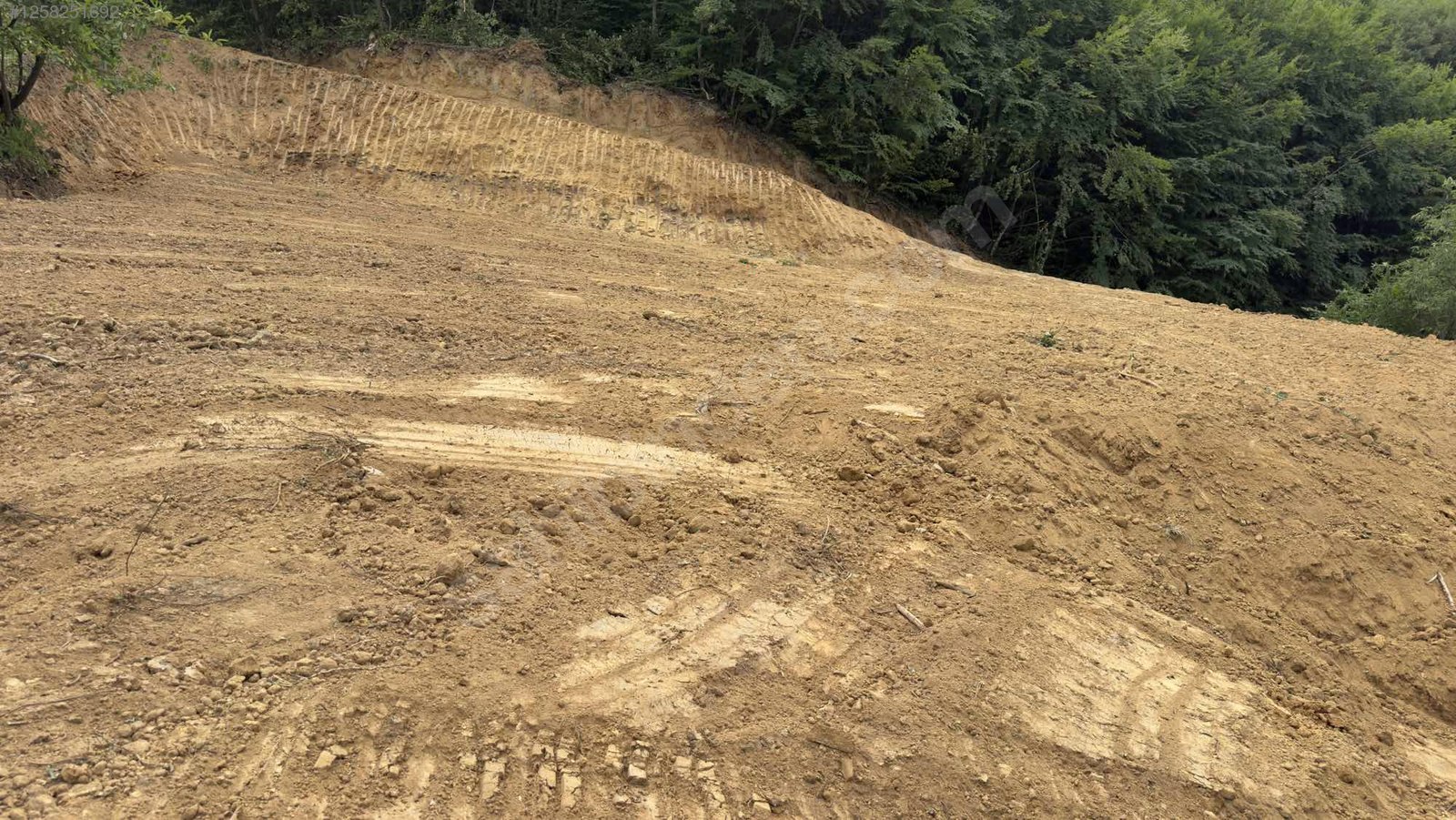 BURSA İNEGÖL SÜLE  KÖYÜNDE 1.676 M² MEYVE BAHÇESİ  SATILIKTIR - BURSA İNEGÖL fotoğraf 14
