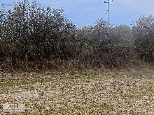 KOCAELİ ARAMAN DA ADAPAZARI KANDIRA YOLUNA CEPHELİ 3506 M2 TARLA - KOCAELİ KANDIRA fotoğraf 23