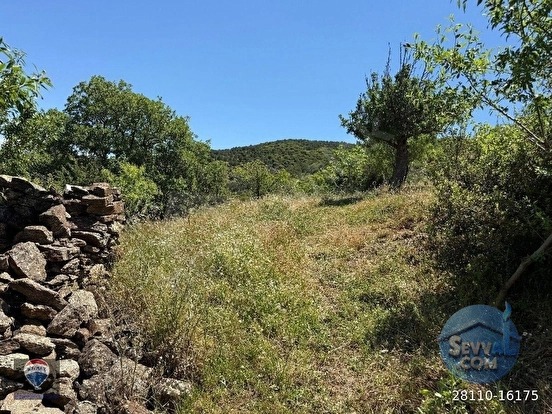 AYDIN YENİPAZAR KARAÇAKAL MAH.SATILIK İMARLI ARSA - AYDIN YENİPAZAR fotoğraf 5