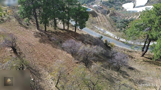 ANAMUR ÇATALOLUK SATILIK 5800 M2 TARLA - MERSİN ANAMUR fotoğraf 7