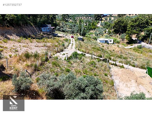 Kemalpaşa Yukarıkızılca Satılık 303 m2 Bahçe Elektrik Su Yol - İZMİR KEMALPAŞA fotoğraf 13