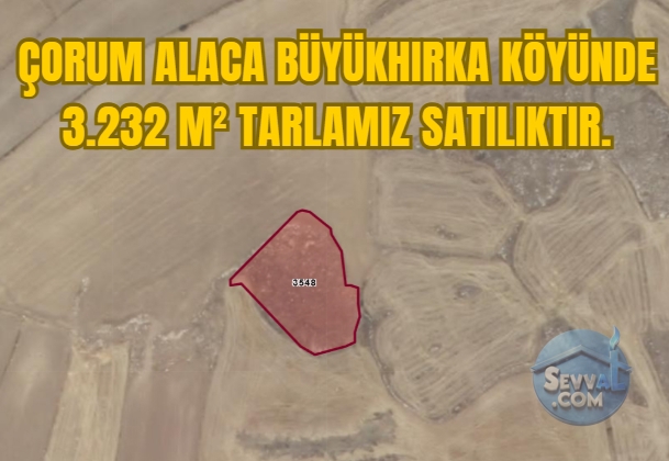 ÇORUM ALACA BÜYÜKHIRKA KÖYÜNDE 3.232 M² TARLAMIZ SATILIKTIR. - Çorum Alaca fotoğraf 15