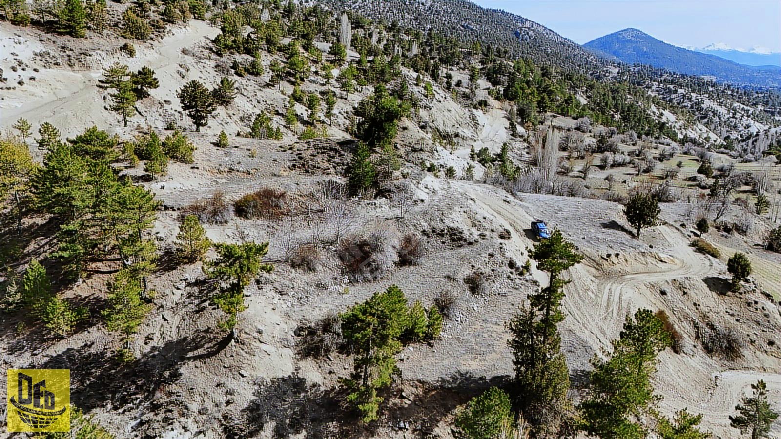 ÇİĞDEMLİ'DE YOLU OLAN ORMANA CEPHE YATIRIMLIK 1.105 m² ARAZİ - DENİZLİ ÇAMELİ fotoğraf 4