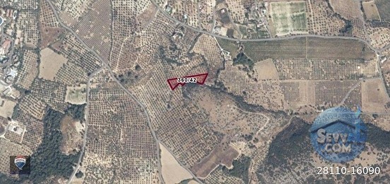 ŞEHIR MERKEZINE YAKIN 4112 M² SATILIK TARLA - AYDIN KUŞADASI fotoğraf 15